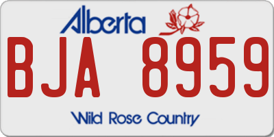 AB license plate BJA8959