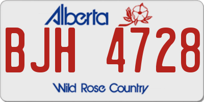 AB license plate BJH4728