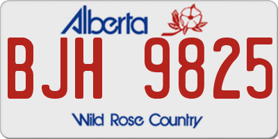 AB license plate BJH9825