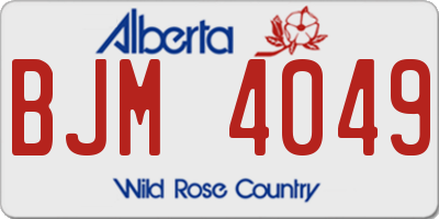 AB license plate BJM4049
