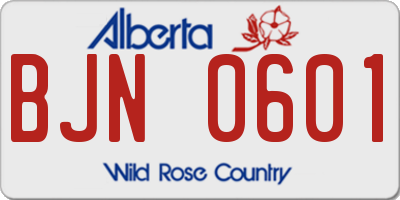 AB license plate BJN0601
