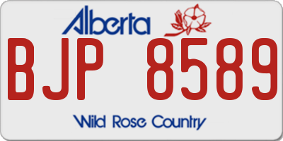 AB license plate BJP8589