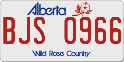 AB license plate BJS0966