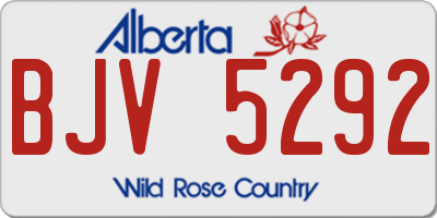 AB license plate BJV5292