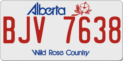 AB license plate BJV7638