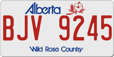 AB license plate BJV9245