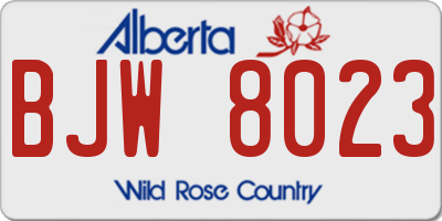 AB license plate BJW8023