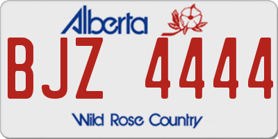 AB license plate BJZ4444