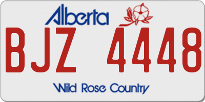 AB license plate BJZ4448