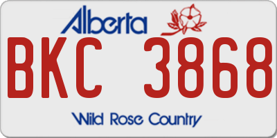 AB license plate BKC3868