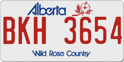AB license plate BKH3654