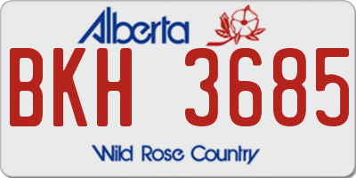 AB license plate BKH3685