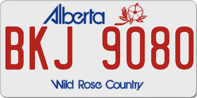 AB license plate BKJ9080