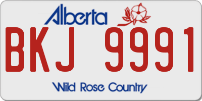 AB license plate BKJ9991