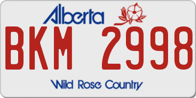 AB license plate BKM2998