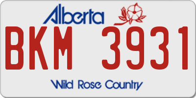 AB license plate BKM3931