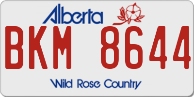 AB license plate BKM8644
