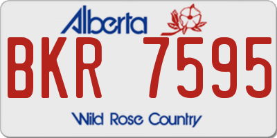 AB license plate BKR7595