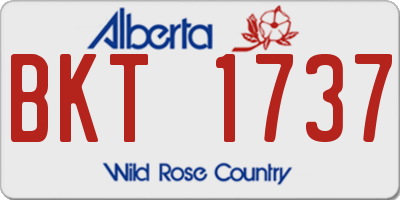 AB license plate BKT1737
