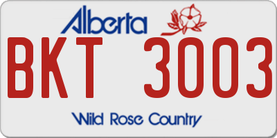 AB license plate BKT3003