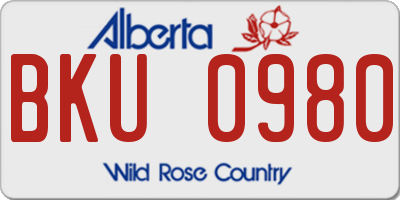 AB license plate BKU0980