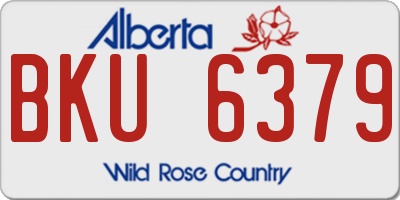 AB license plate BKU6379