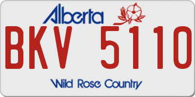 AB license plate BKV5110
