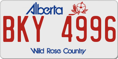 AB license plate BKY4996