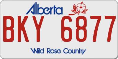 AB license plate BKY6877