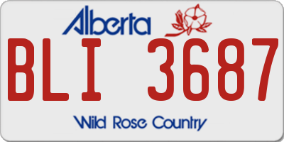 AB license plate BLI3687