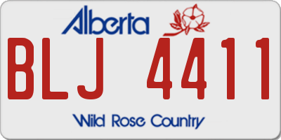 AB license plate BLJ4411