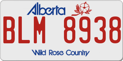 AB license plate BLM8938