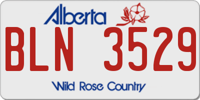 AB license plate BLN3529