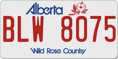AB license plate BLW8075