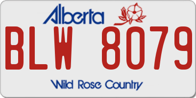 AB license plate BLW8079