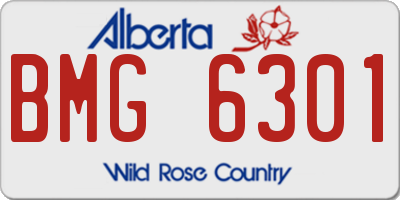 AB license plate BMG6301