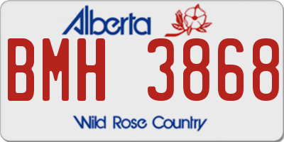 AB license plate BMH3868