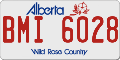 AB license plate BMI6028