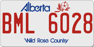 AB license plate BML6028