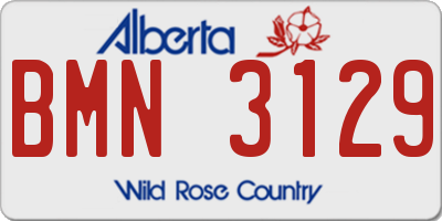 AB license plate BMN3129