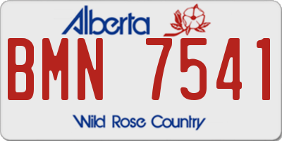AB license plate BMN7541