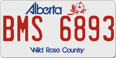 AB license plate BMS6893