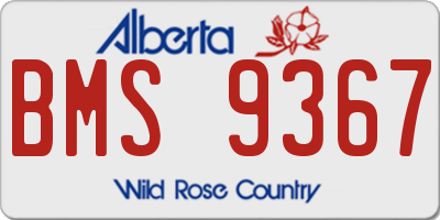 AB license plate BMS9367