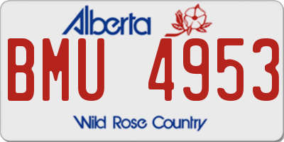 AB license plate BMU4953
