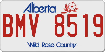 AB license plate BMV8519