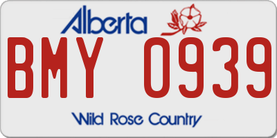 AB license plate BMY0939