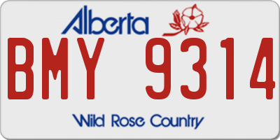 AB license plate BMY9314