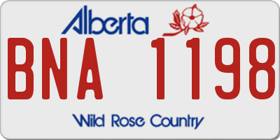 AB license plate BNA1198