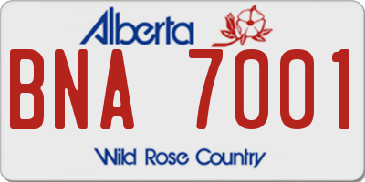 AB license plate BNA7001