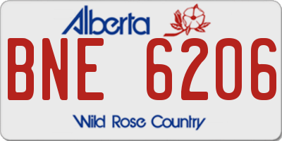 AB license plate BNE6206